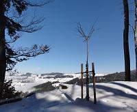                                 26. Februar 2011 - es hat wieder geschneit auf der Landmark